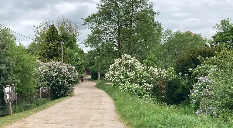 Apartment in Langhagen