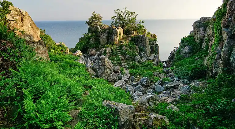 3 room w/seaview-PLUS