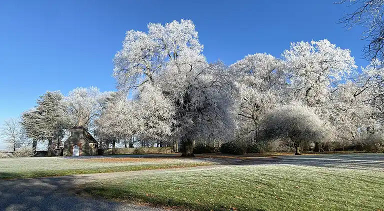 Farm house in Ouffet