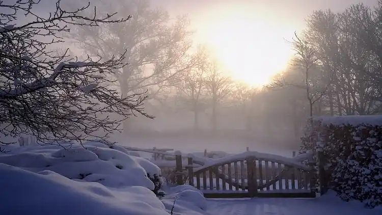 Holiday home in Büllingen