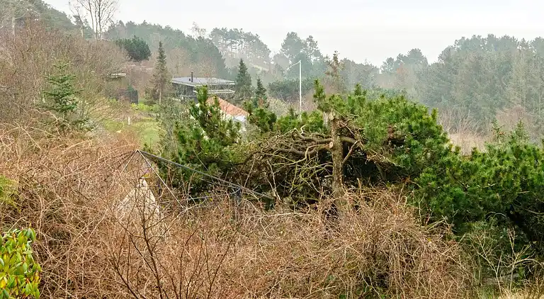 Maison de vacances au Knebel