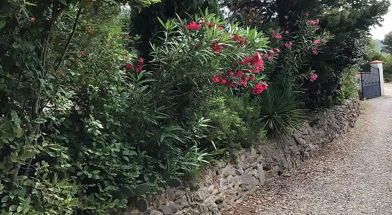 Villa in Languedoc-Roussillon