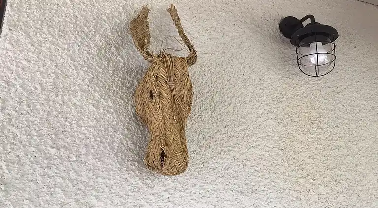 Villa in Languedoc-Roussillon