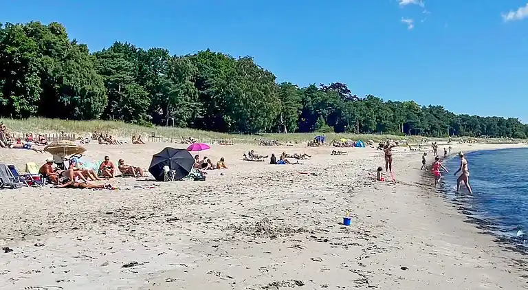 Semesterbostad i Sjöbo