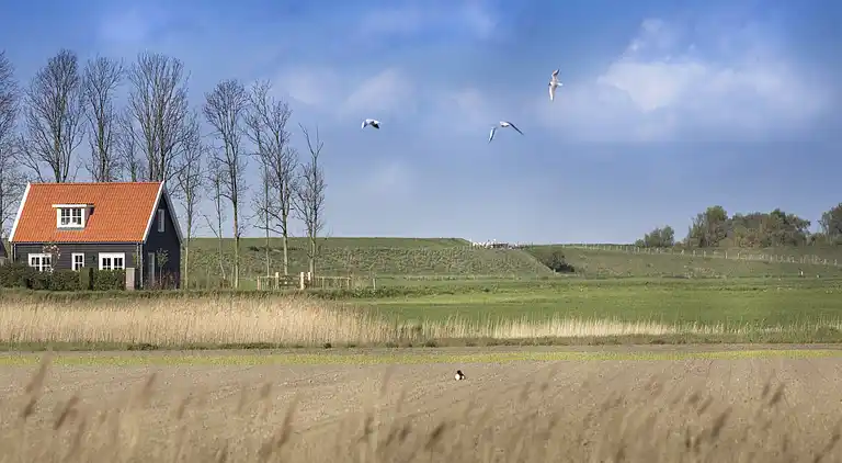 Sommerhus i Wissenkerke