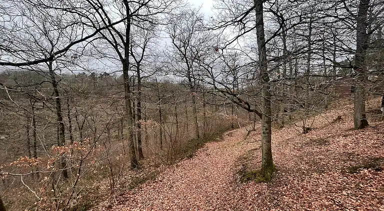 Holiday home in Hastiere