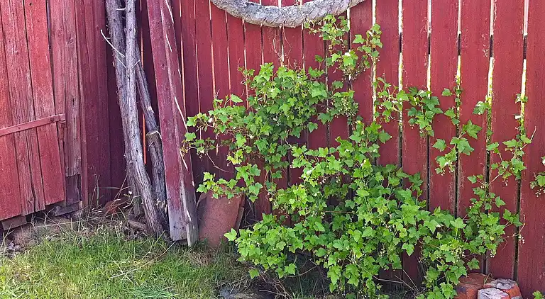 Holiday home in Tanum V