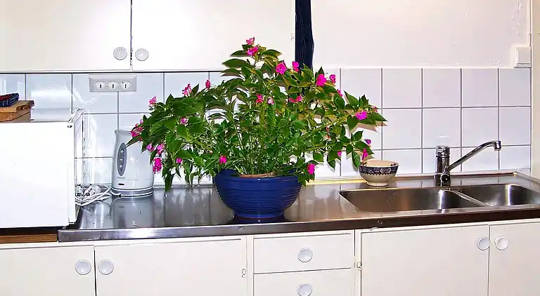 Feriebolig i Tanum V