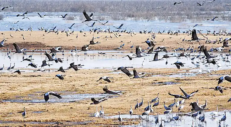 Casa vacanze in Vara