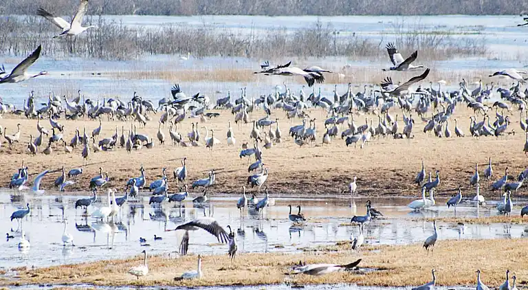 Casa vacanze in Vara