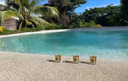 Villa (bas) climatisée piscine lagon privé et jardin plage