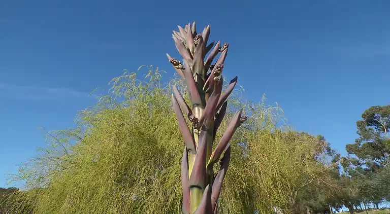 Farm house in São Sebastião da Giesteira