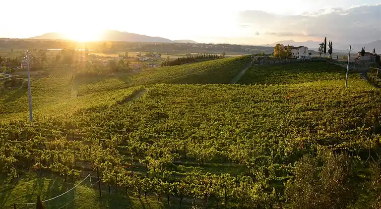 Feriebolig i Cerreto Guidi