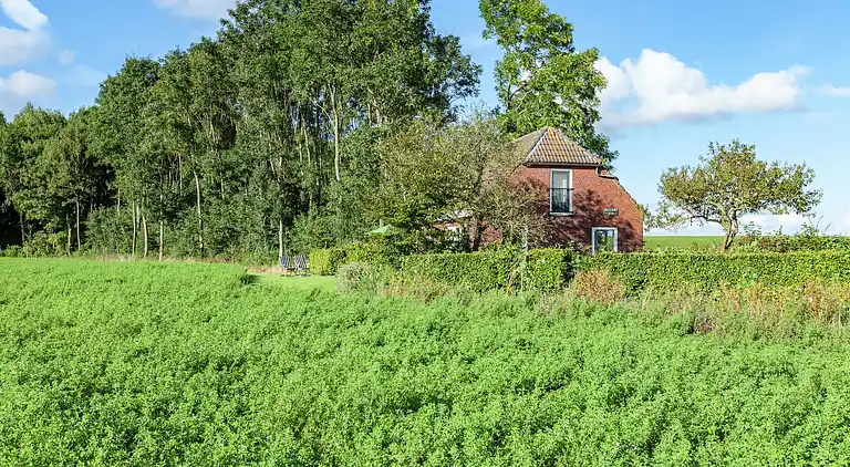Sommerhus i Finsterwolde