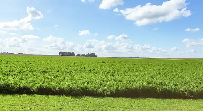 Sommerhus i Finsterwolde
