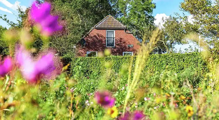 Sommerhus i Finsterwolde