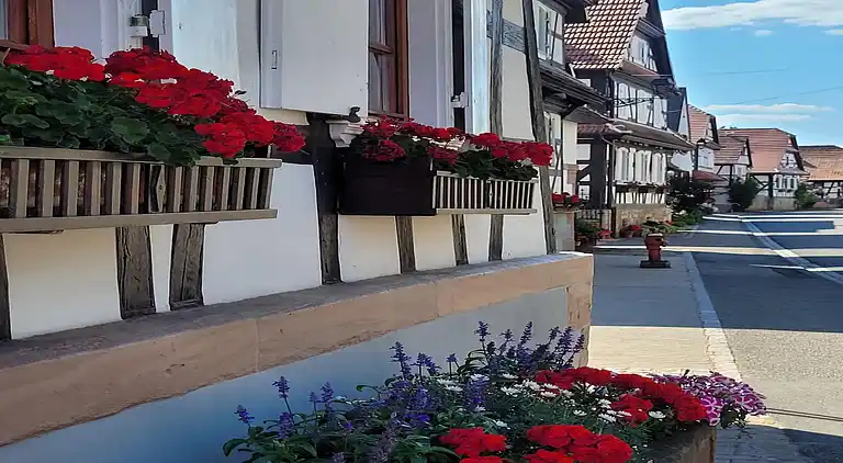 Feriebolig i Wissembourg