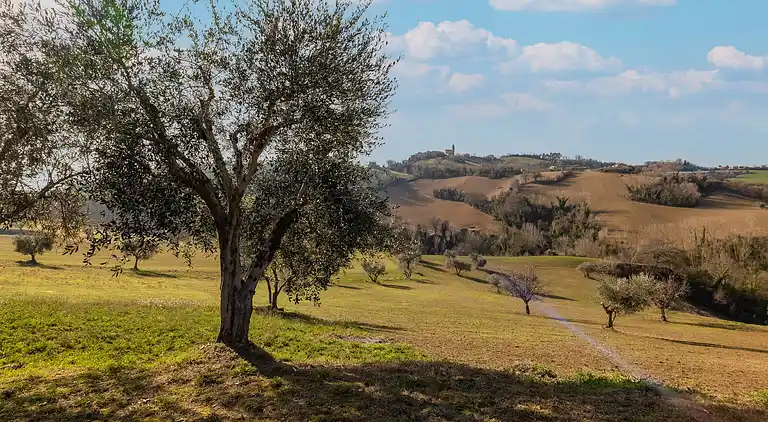 Ferienhaus in Moregnano