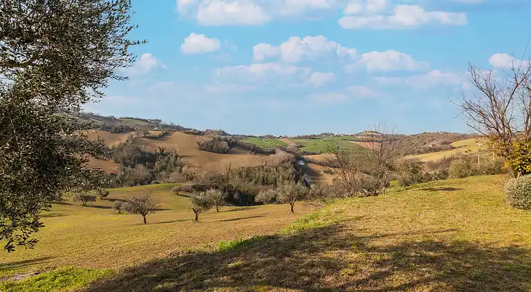 Ferienhaus in Moregnano