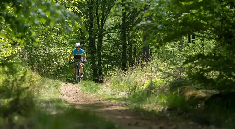 Ferienhaus in Zon en Schild