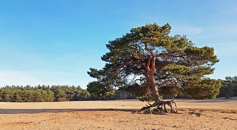 Ferienhaus in Zon en Schild