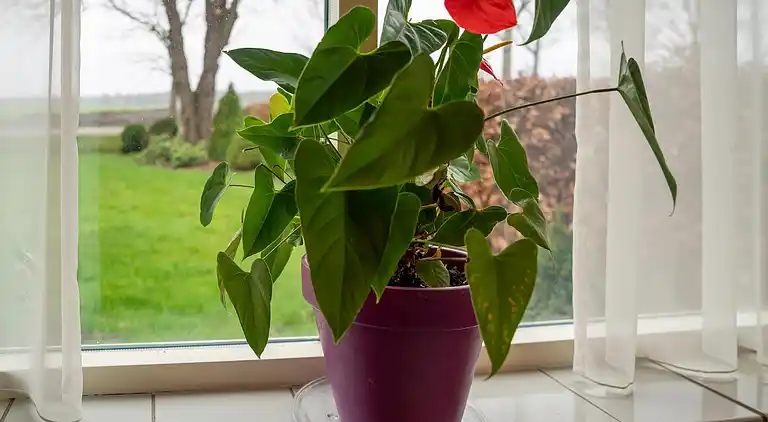 Holiday home in Spier