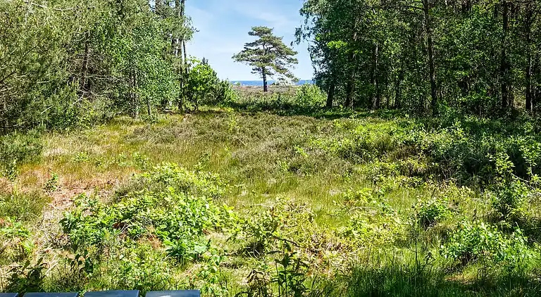 Dejligt feriehus på Bornholm med havkig