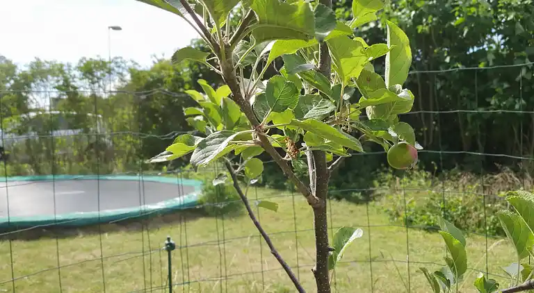 Gemütliches Ferienhaus in Nykøbing Sjælland