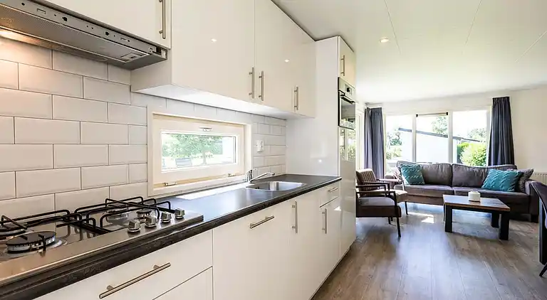 Cottage in South Holland