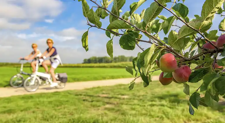 Ferielejlighed i Houthalen-Helchteren