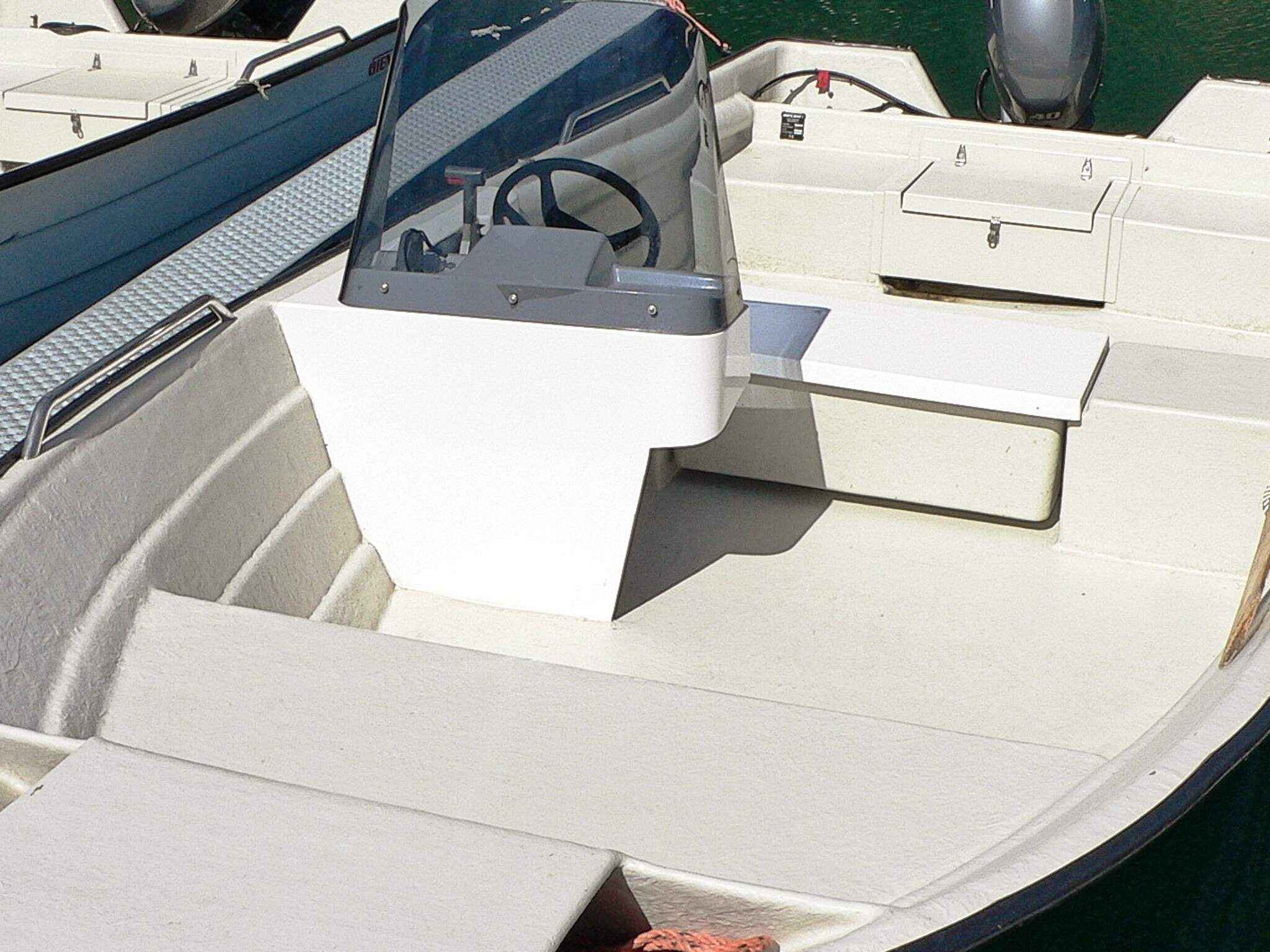 Large Image
