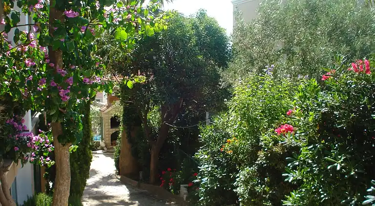 Ferielejlighed i Podstrana