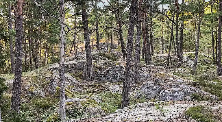 Semesterbostad i Värmdö