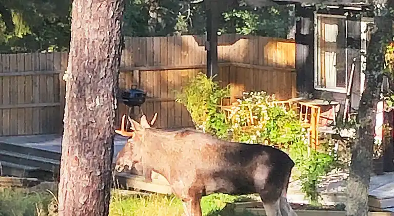 Semesterbostad i Värmdö