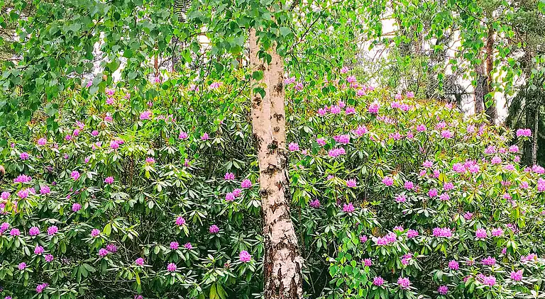 Semesterbostad i Värmdö