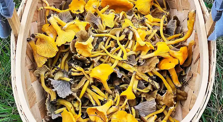 Semesterbostad i Värmdö