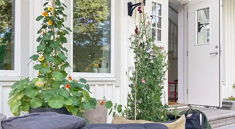 Semesterbostad i Värmdö