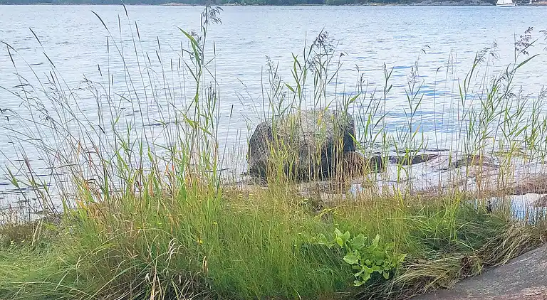 Semesterbostad i Värmdö