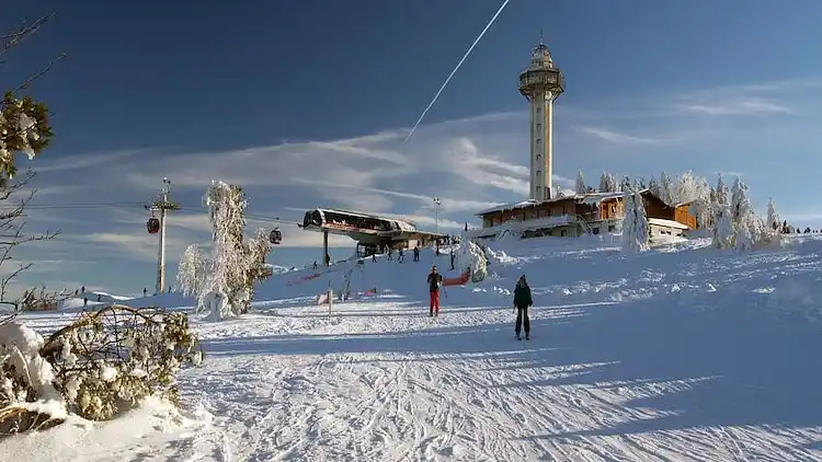 Hytte i Heringhausen