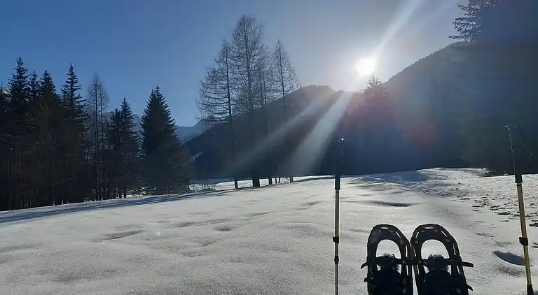 Apartment in Ferlach