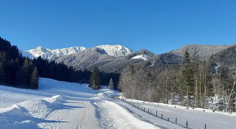 Apartment in Ferlach