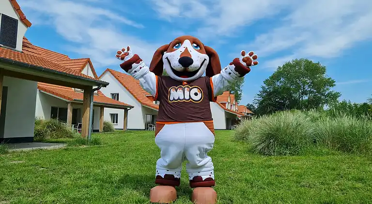 Sommerhus i Groffliers