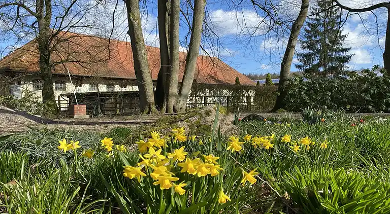 Holiday home in Unterlüß