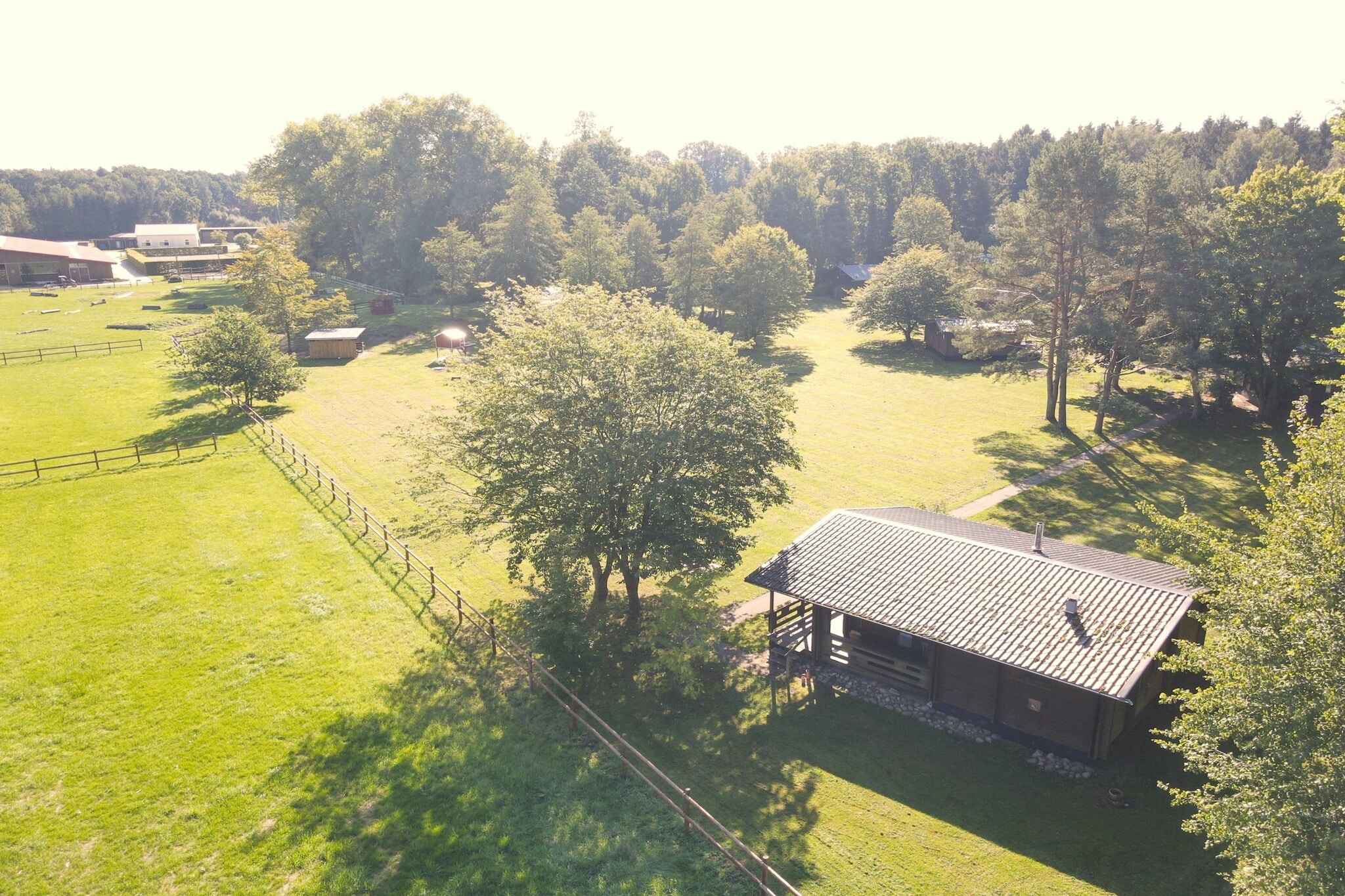 Large Image