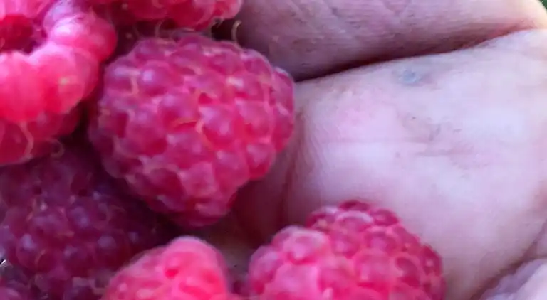 Sommerhus i Levanger