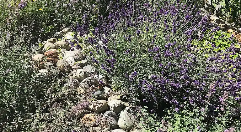 Sommerhus i Levanger