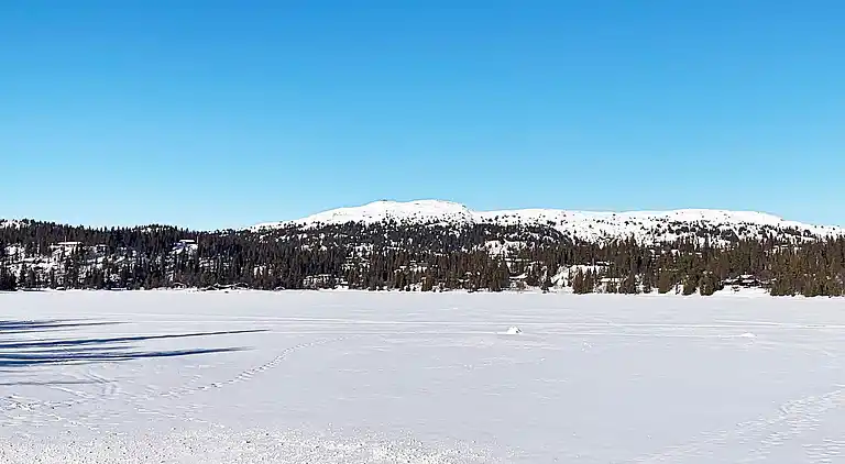 Sommerhus i Aurdal