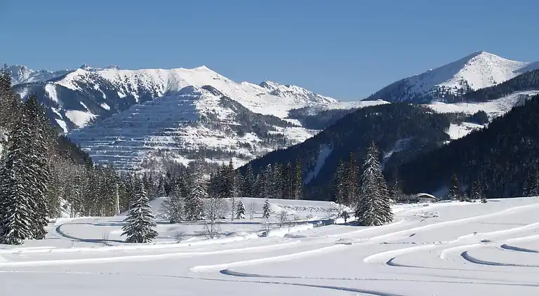 Ferienwohnung in Eisenerz