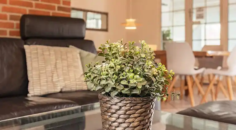 Sommerhus i Væggerløse