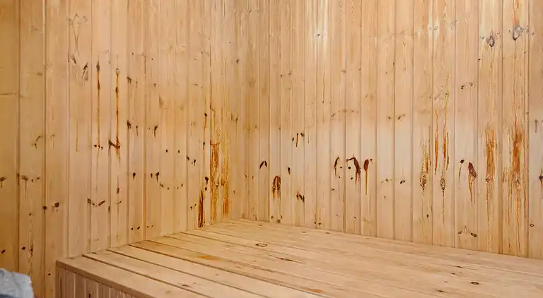 Sommerhus ved Vibæk Strand